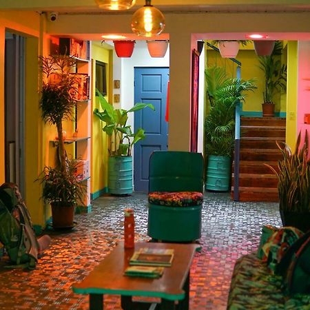Nativus Art-Hostel San Jose  Luaran gambar