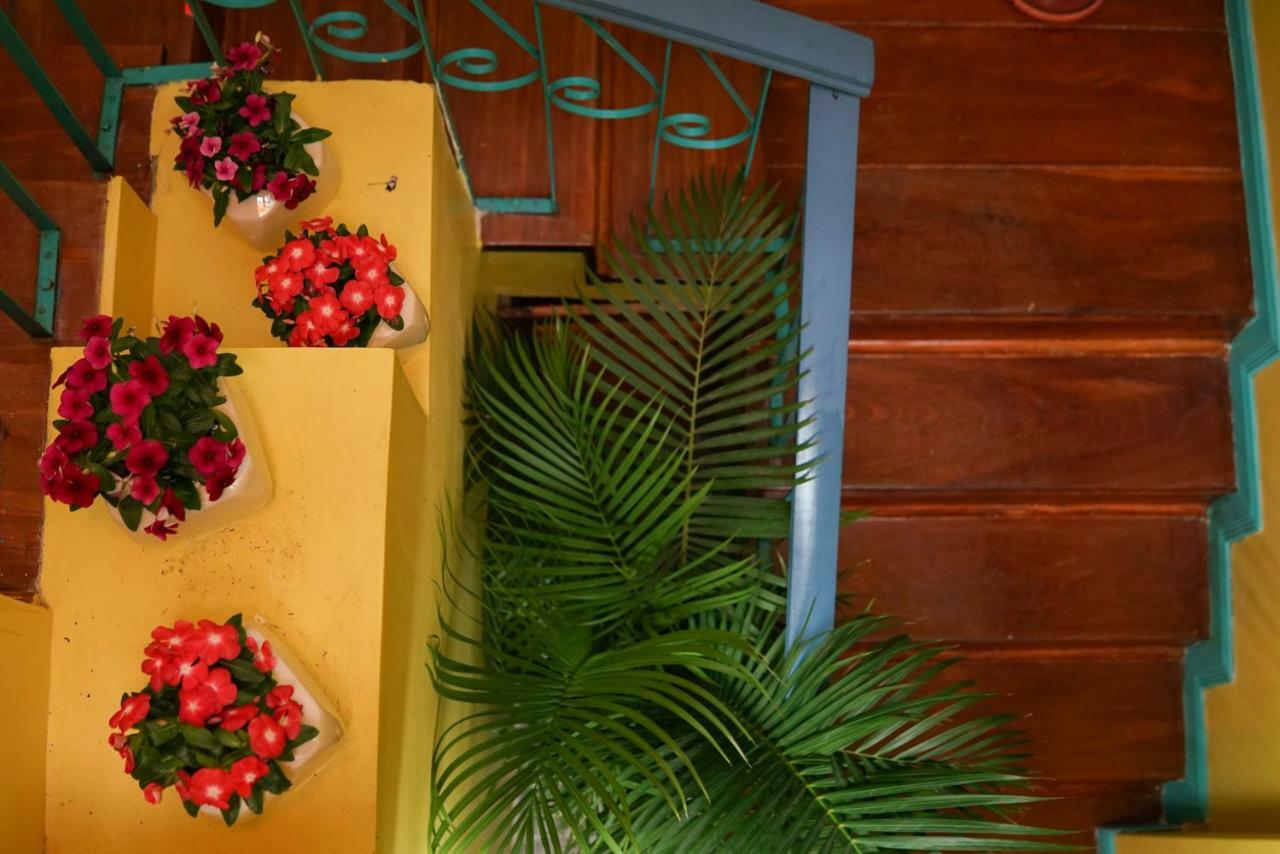 Nativus Art-Hostel San Jose  Luaran gambar