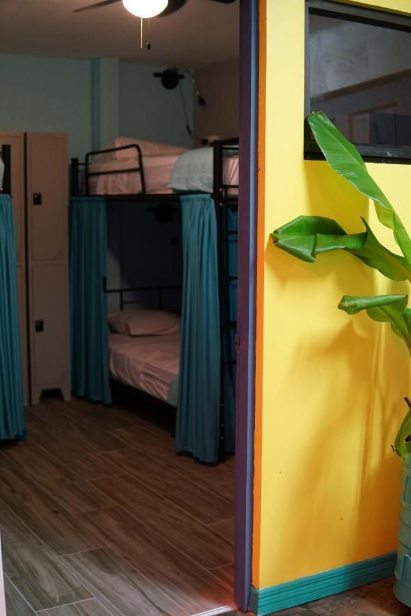 Nativus Art-Hostel San Jose  Luaran gambar